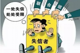 陇南陇南的要账公司在催收过程中的策略和技巧有哪些？